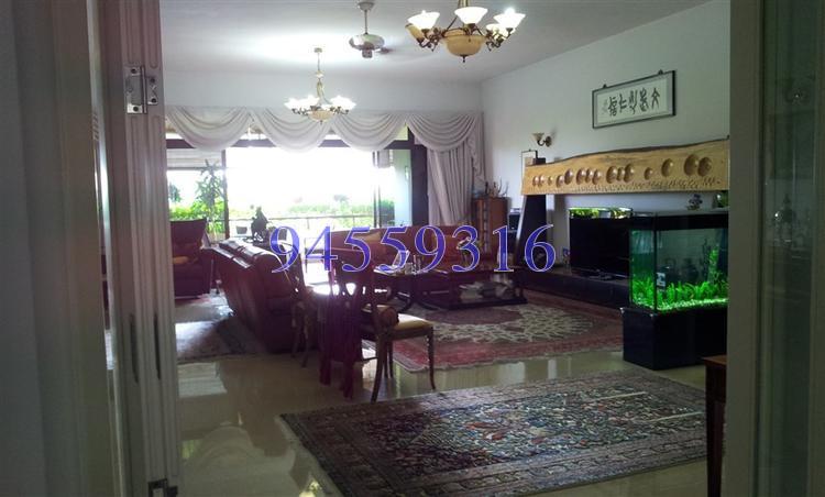 The Arcadia (D11), Condominium #138962522